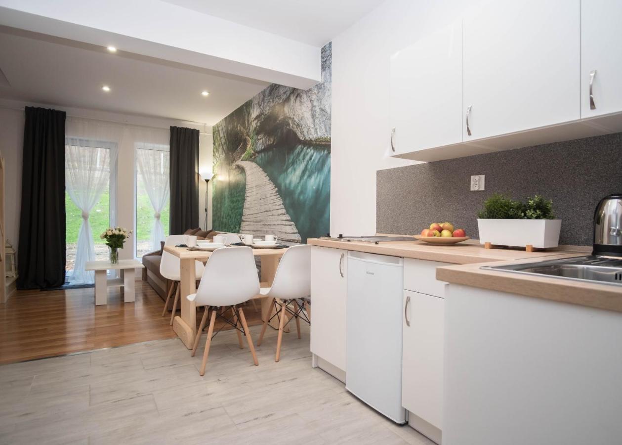 Apartamenty Goszowita Stronie Śląskie Dış mekan fotoğraf